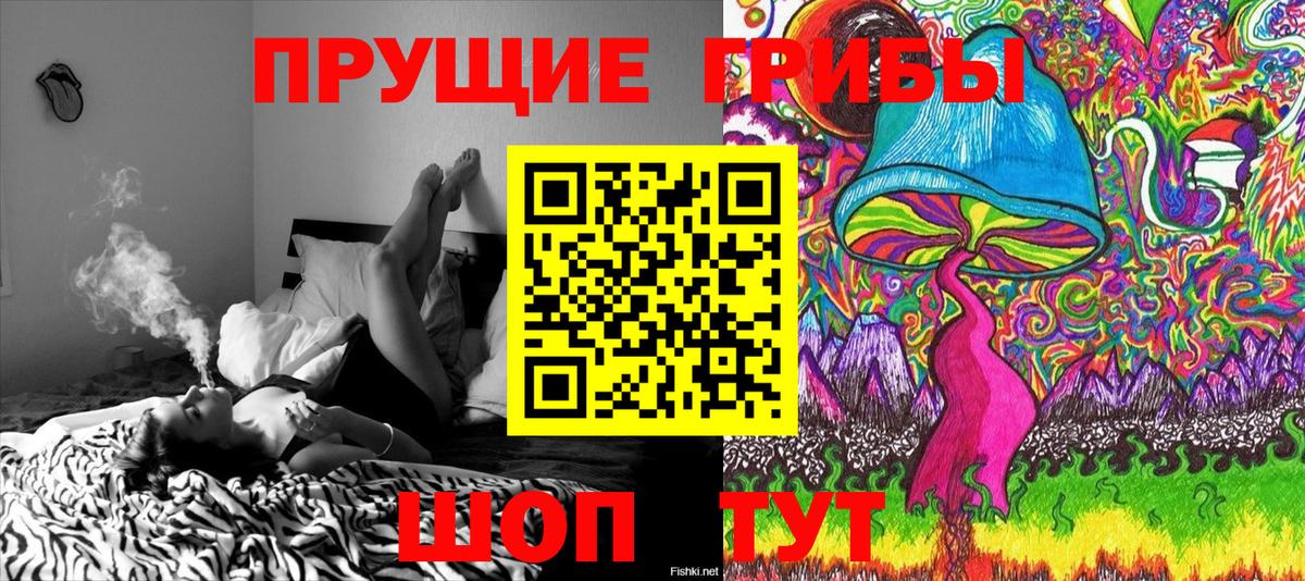 Псилоцибиновые грибы Cubensis  Псилоцибиновые грибы MAGIC MUSHROOMS  Вход с VPN  Темрюк 